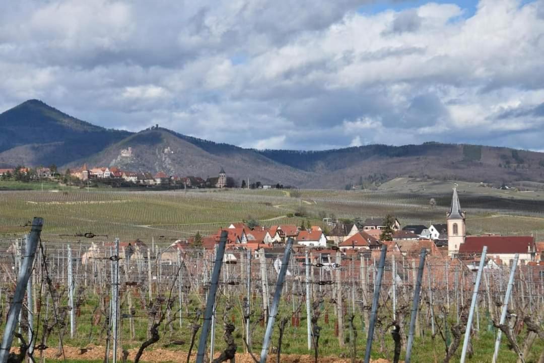 Gites Marschall Jean-Pierre Beblenheim Exterior foto